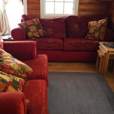 Snowdonia National Park Log Cabin With Garden Trawsfynydd Eksteriør bilde